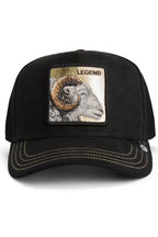 GORRA GOORIN BROS NEGRO 1012532VOI01