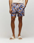 psycho bunny pantaloneta de baño hombre fantasia marron