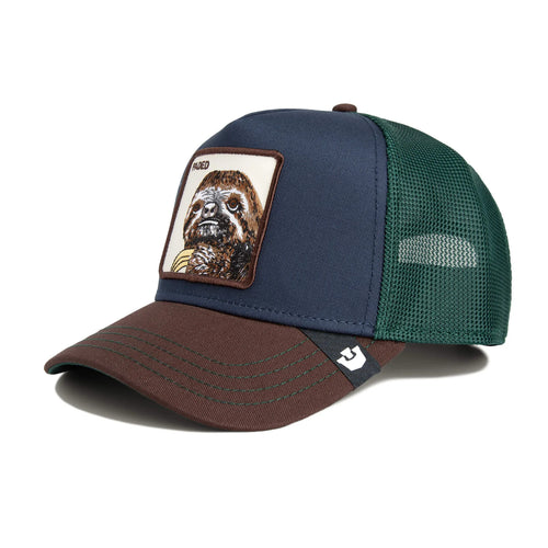 GORRA GOORIN BROS MULTI 1012346MULTI