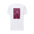 t-shirt psycho bunny hombre mt0200102100