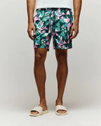 PSYCHO BUNNY TRAJES DE BAÑO HOMBRE VERDE