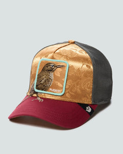 GORRA GORIN BROSS COSTA RICA THRUSH COLOR NARANJA