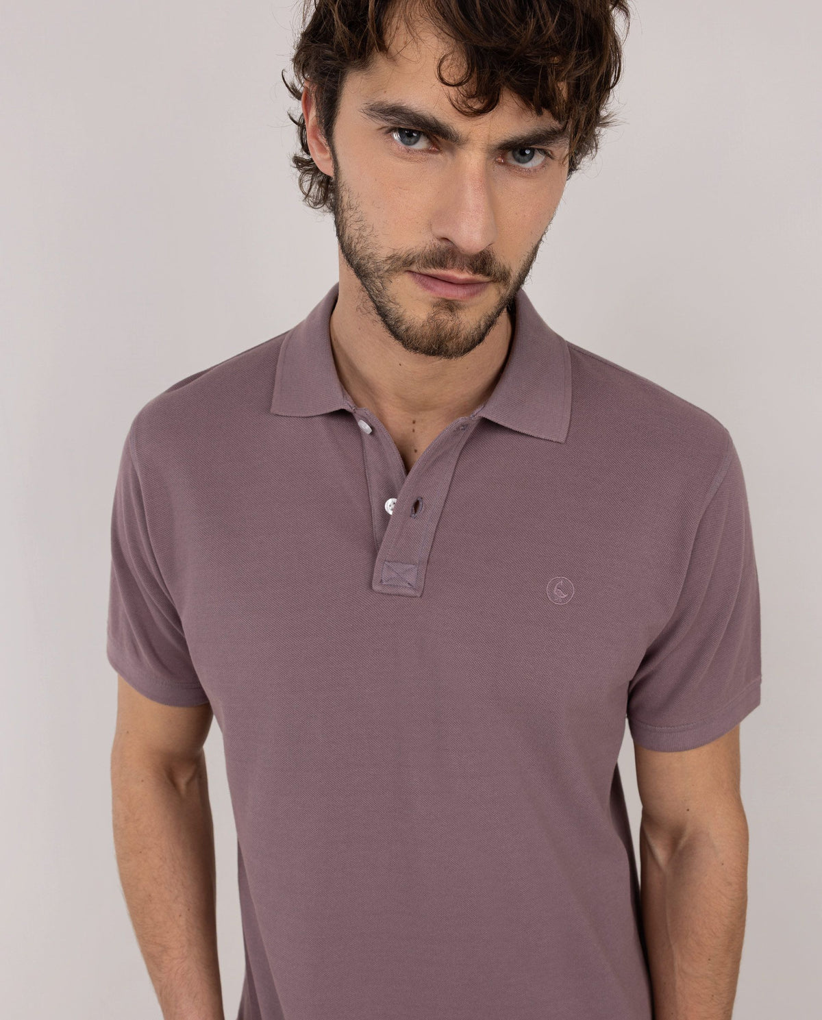 Polo Piqué Garment Dyed EL GANSO HOMBRE MORADO