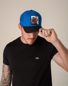 GORRA GOORIN BROS NEGRO 1012596ROY02