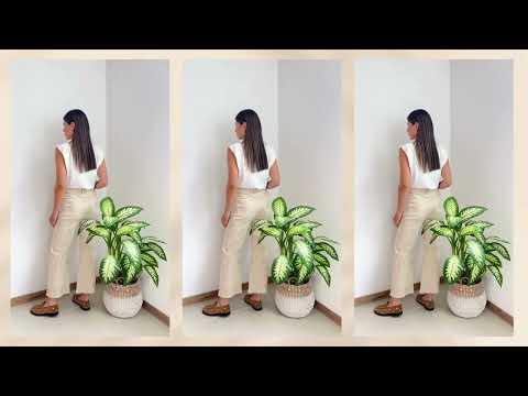 JEAN PRIMIA GLENDA BEIGE